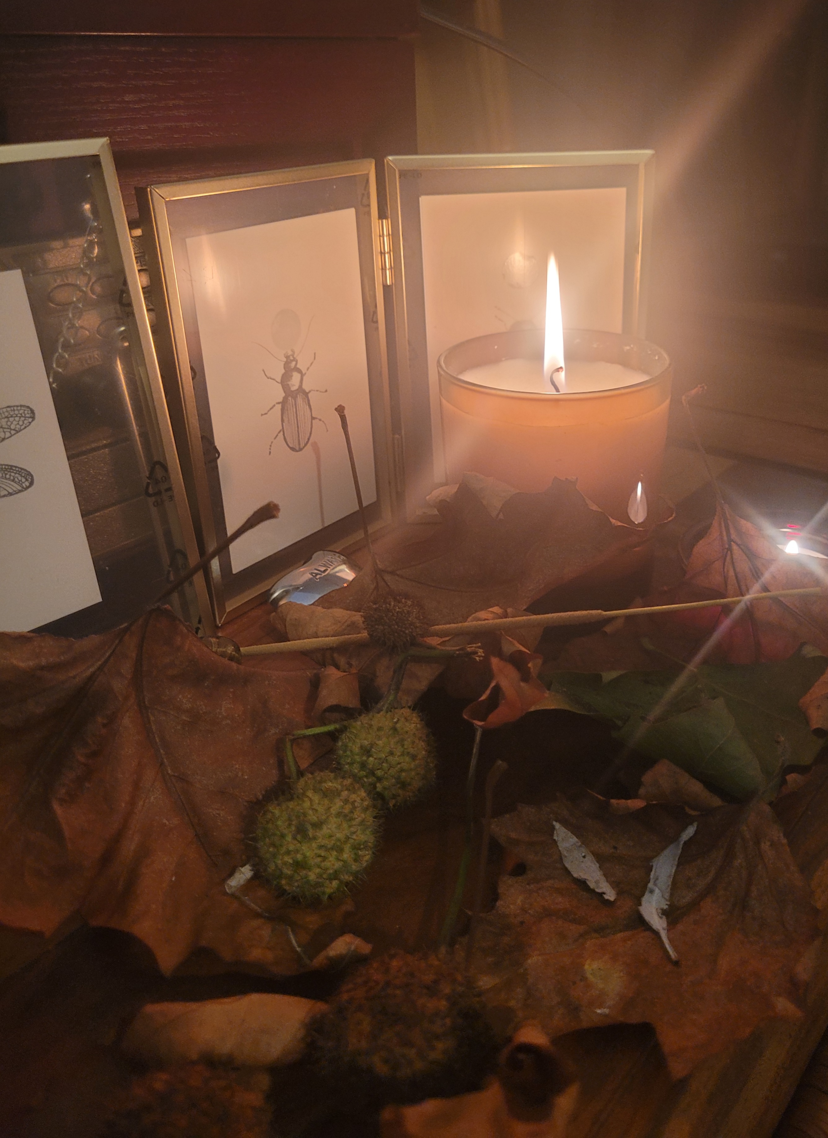 What is Samhain? Traditions, Meanings and Rituals